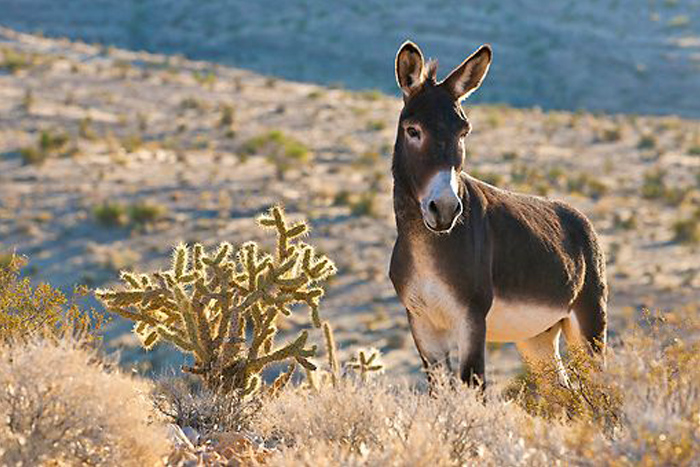 Free Template by Free-Template.co