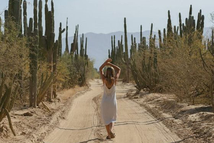 Free Template by Free-Template.co