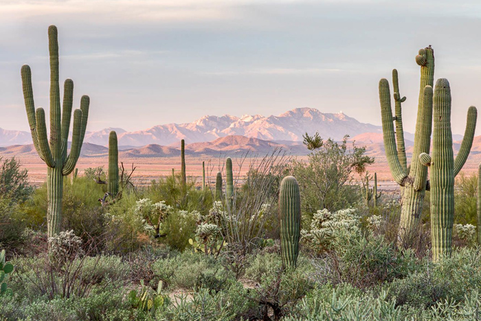 Free Template by Free-Template.co